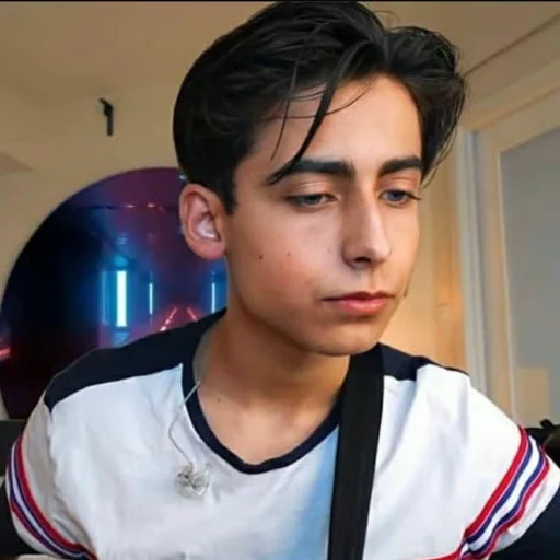🙁 Стикер «Aidan Gallagher» для Telegram