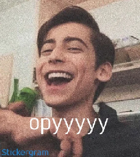 😂 Стикер «Эйданленд» для Telegram