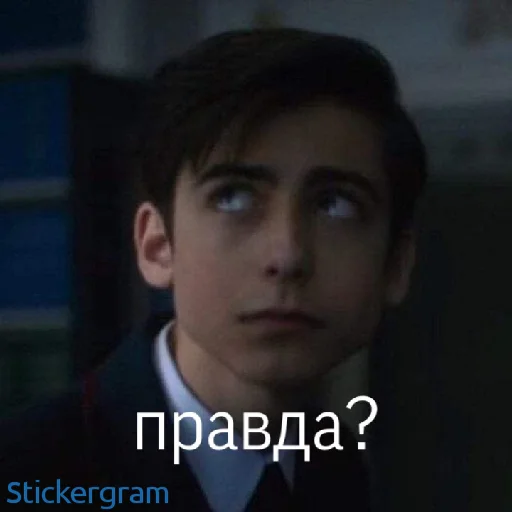 🥺 Стикер «Эйданленд» для Telegram
