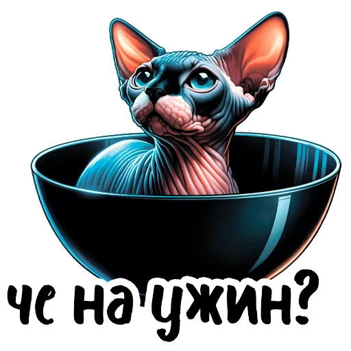 🥣 Стикер «sphynxes сфинкс» для Telegram