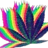 Стикер 26 🫥 aiem emoji - стильные tumblr эмоджи
