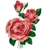 🌺 Эмодзи «Набор стикеров» для Telegram