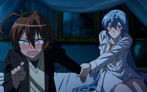 💑 Стикер «Akame ga Kill!» для Telegram