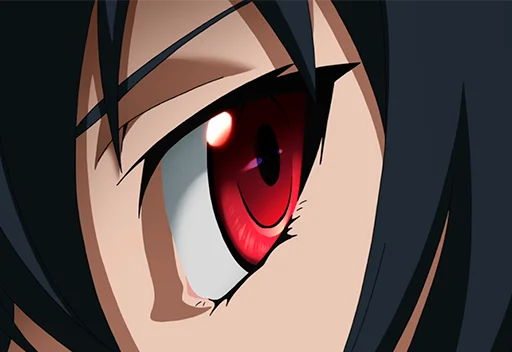 👁 Стикер «Akame ga Kill!» для Telegram