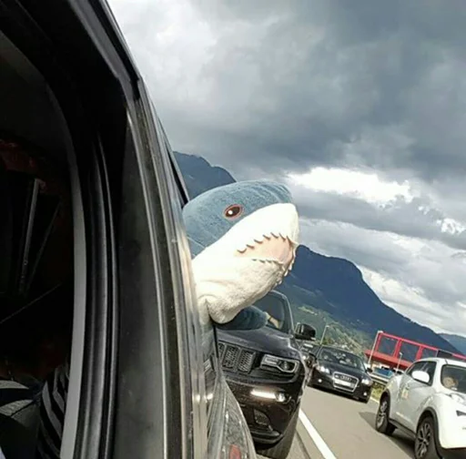 🚙 Стикер «Акулка mood» для Telegram