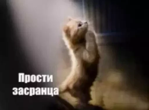 🙏 Стикер «aleshkakys» для Telegram