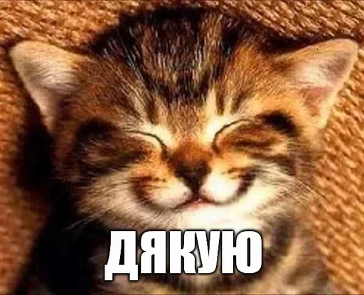 🌟 Стикер «aleshkakys» для Telegram