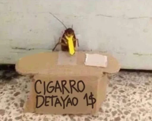 🚬 Стикер «A la verga 6» для Telegram