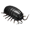 🦗 Эмодзи «random 4» для Telegram