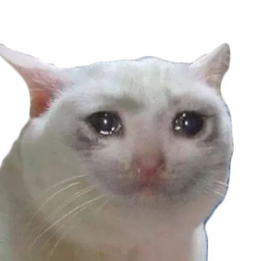 😢 Стикер «Aleatórios» для Telegram