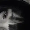 Стикер 57 ǂ ǂ