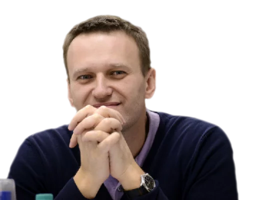 Стикер 9 navalny