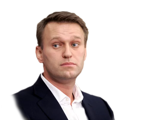 Стикер 13 navalny