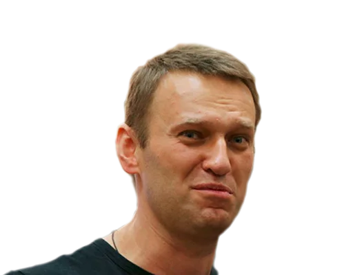 Стикер 15 navalny