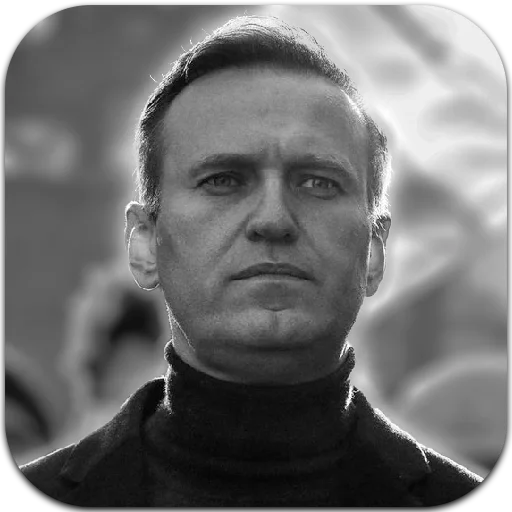 Стикер 29 navalny