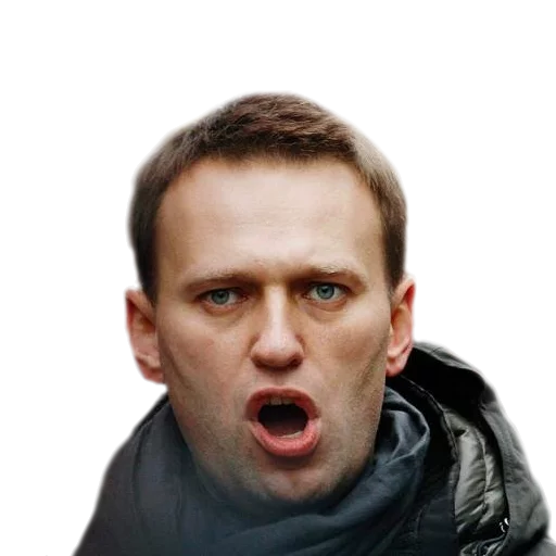 Стикер 17 navalny