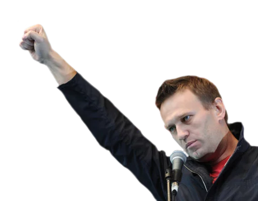 Стикер 19 navalny