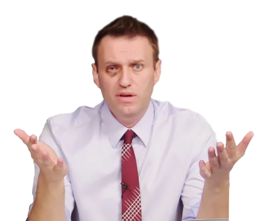 Стикер 27 navalny