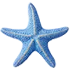 🪸 Эмодзи «Beach & mermaid» для Telegram