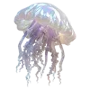 🐚 Эмодзи «Beach & mermaid» для Telegram