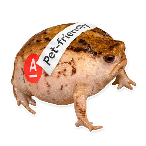 🐸 Стикер «ALFA» для Telegram