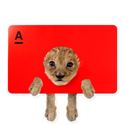 🐯 Стикер «ALFA» для Telegram