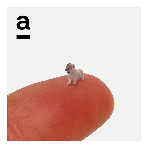 🐅 Стикер «ALFA» для Telegram