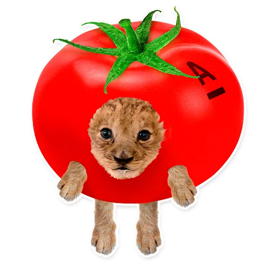 🍅 Стикер «ALFA» для Telegram