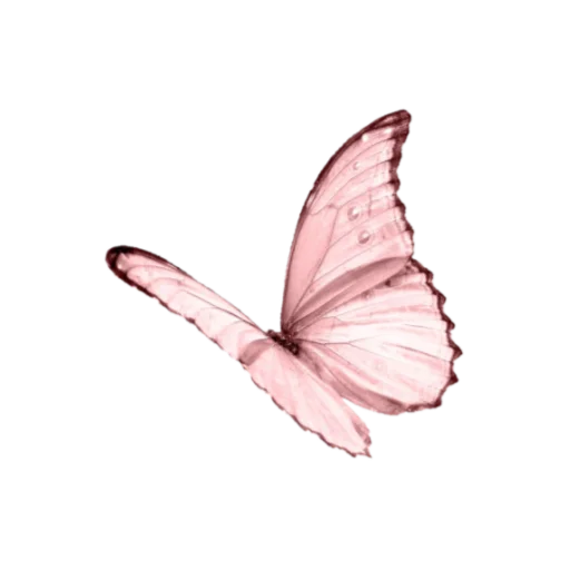 🦋 Стикер «alfalyakstick» для Telegram