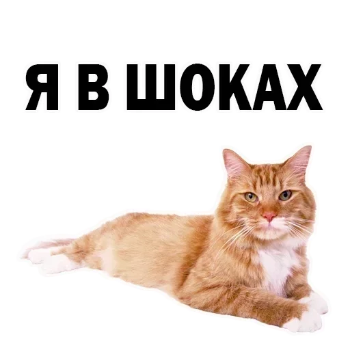 😨 Стикер «🙂» для Telegram