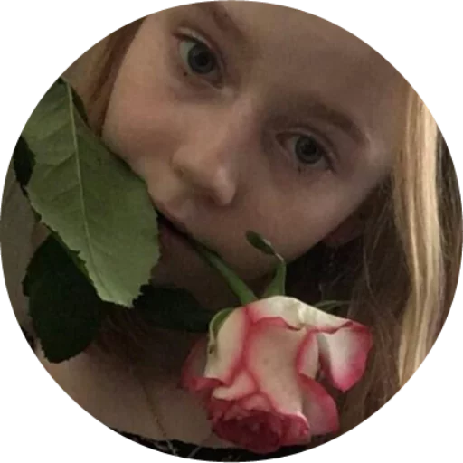🌹 Стикер «Alinapack» для Telegram