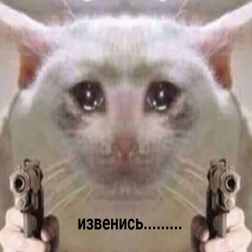 😾 Стикер «ИЙЦО» для Telegram