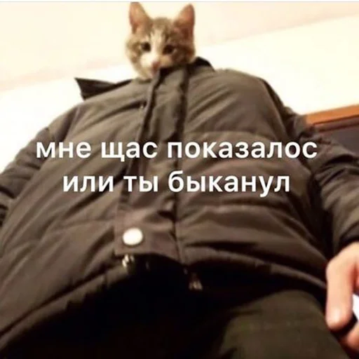 🤨 Стикер «ИЙЦО» для Telegram