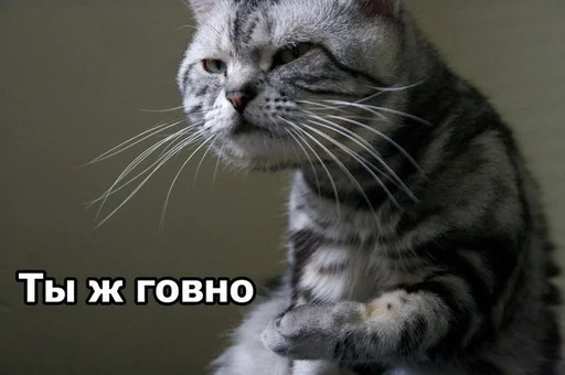 💩 Стикер «ИЙЦО» для Telegram
