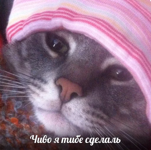 😟 Стикер «ИЙЦО» для Telegram