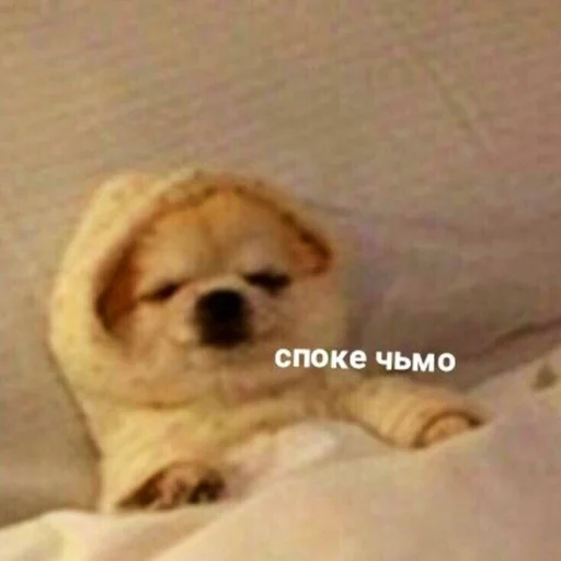😴 Стикер «ИЙЦО» для Telegram