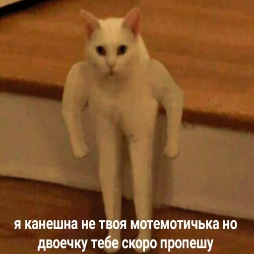 😾 Стикер «ИЙЦО» для Telegram
