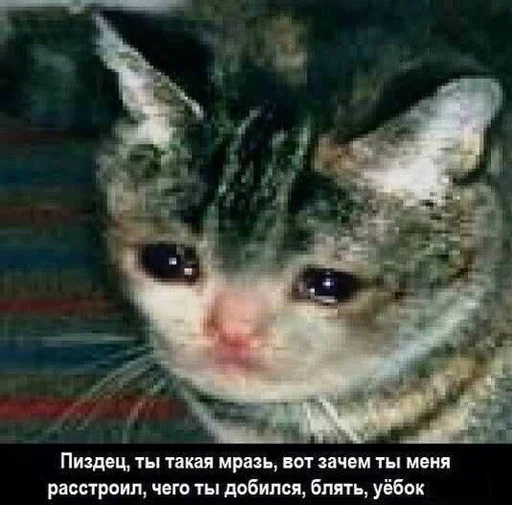 😭 Стикер «ИЙЦО» для Telegram