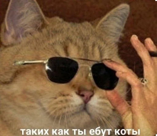 😎 Стикер «ИЙЦО» для Telegram