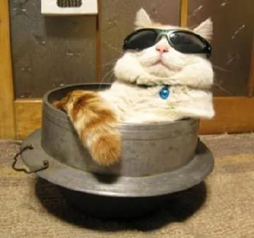 😼 Стикер «ИЙЦО» для Telegram