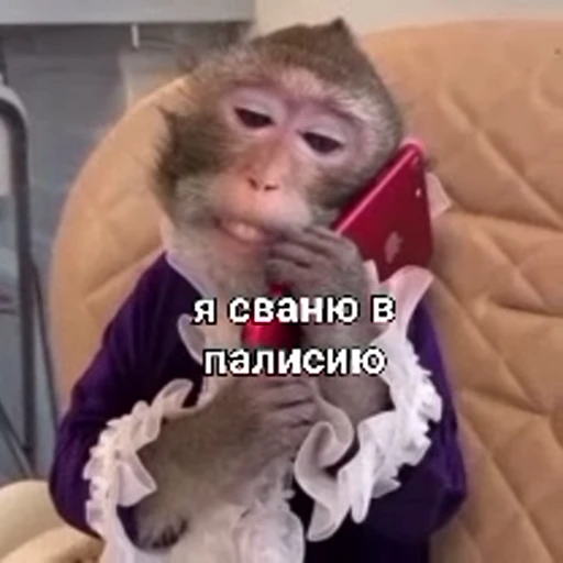 😡 Стикер «allktmr 2» для Telegram