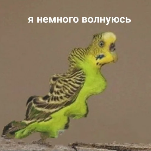 😔 Стикер «my_SticPack» для Telegram