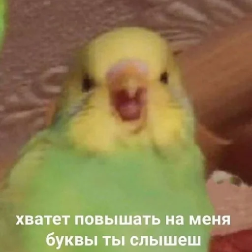 😠 Стикер «my_SticPack» для Telegram