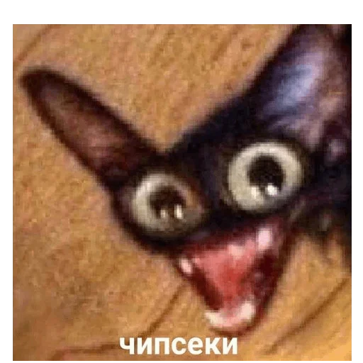 🍔 Стикер «my_SticPack» для Telegram