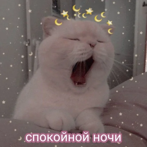 😘 Стикер «my_SticPack» для Telegram