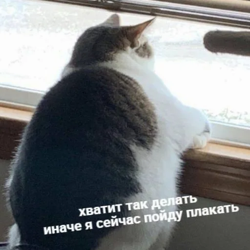 😅 Стикер «my_SticPack» для Telegram
