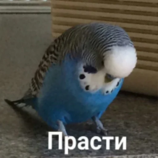 😢 Стикер «my_SticPack» для Telegram