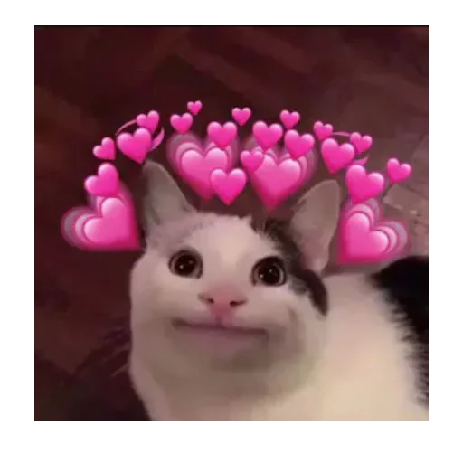 😍 Стикер «my_SticPack» для Telegram