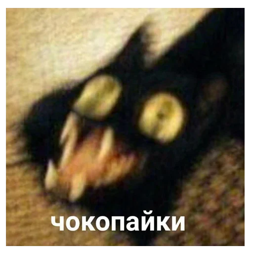 🤪 Стикер «my_SticPack» для Telegram