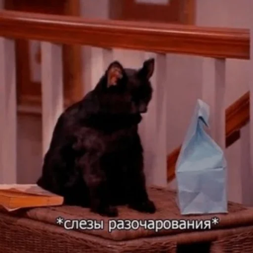 😭 Стикер «my_SticPack» для Telegram